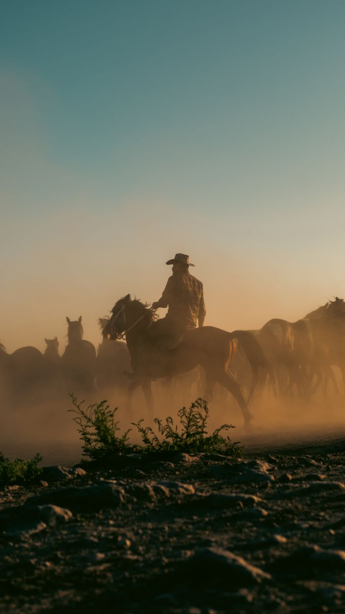 A cowboy guides a herd of horses through a dusty terrain at sunset in Kayseri, Türkiye.